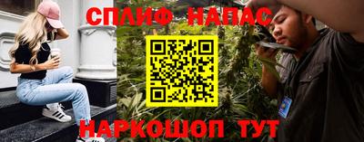 Альфа ПВП Владикавказ