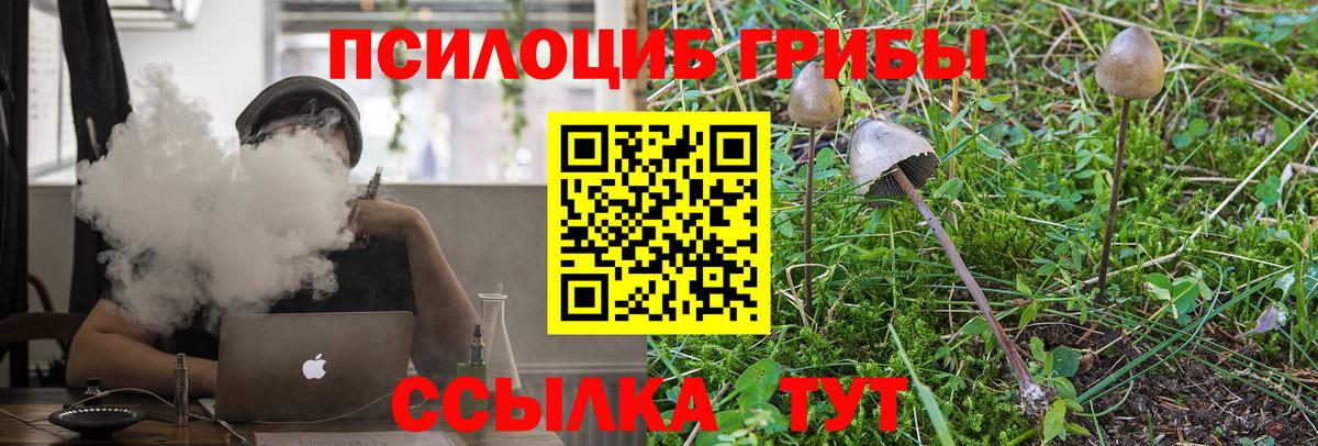 Псилоцибиновые грибы Psilocybe  Вход с VPN  закладка  Нефтекумск  Псилоцибиновые грибы прущие грибы 