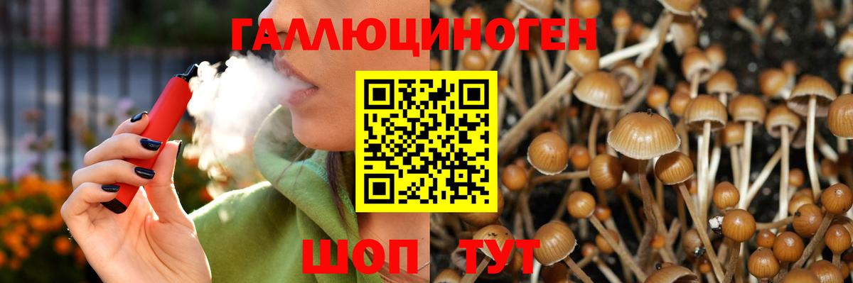 Галлюциногенные грибы Psilocybine cubensis Нефтекумск