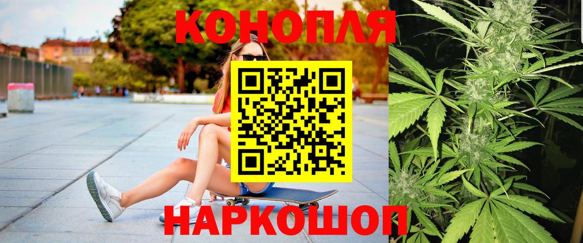 Бошки Шишки семена  Конопля ГИДРОПОН  Вход с VPN  Нефтекумск  Канабис планчик 